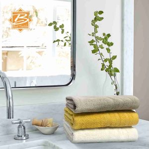 Dobby Towel Intricate Border